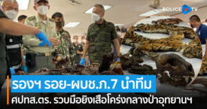 รองฯ รอย-ผบช.ภ.7 นำทีม ศปทส.ตร. แถลงรวบมือยิงเสือโคร่งกลางป่าอุทยานฯ จัดเต็ม แจ้ง 10 ข้อหนัก ผตห. 5 ราย ภาคเสธ 1 ราย