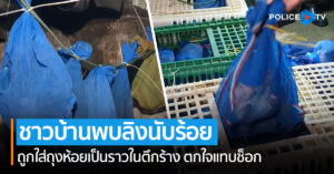 ชาวบ้านพบลิงนับร้อย ถูกใส่ถุงห้อยเป็นราวในตึกร้าง ตกใจแทบช็อก