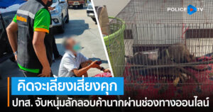 ปทส. จับหนุ่มลักลอบค้านากผ่านช่องทางออนไลน์