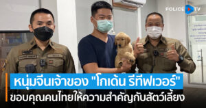 หนุ่มจีนเจ้าของ “โกเด้น รีทีฟเวอร์” ขอบคุณคนไทยให้ความสำคัญกับสัตว์เลี้ยง เตรียมตั้งชื่อ “นาตาชาโรมานอฟ”