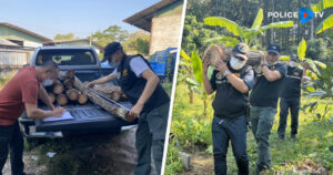 ตำรวจ ปทส. จับกุมขบวนการบุกรุกป่าขายต่อให้ต่างชาติ