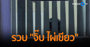 รวบ “จิ๊บ ไผ่เขียว” ผู้ต้องสงสัยยิงผู้ช่วยนักข่าว