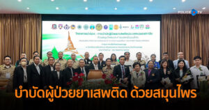 เปิดโครงการนำร่องการบำบัดผู้ป่วยยาเสพติด ด้วยสมุนไพรและการแพทย์แผนไทย