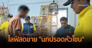 รวบชายไลฟ์สดขาย “นกปรอดหัวโขน”