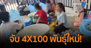 4X100 พันธุ์ใหม่! CIB–อย. ทลายแหล่งผลิตน้ำหวานปรุงสำเร็จ ผสมน้ำกระท่อม ปรุงมือ-ไร้มาตรฐาน