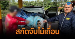 CIB สกัดจับไม้กฤษณาเถื่อนกลางถนน รวมมูลค่ากว่าล้านบาท